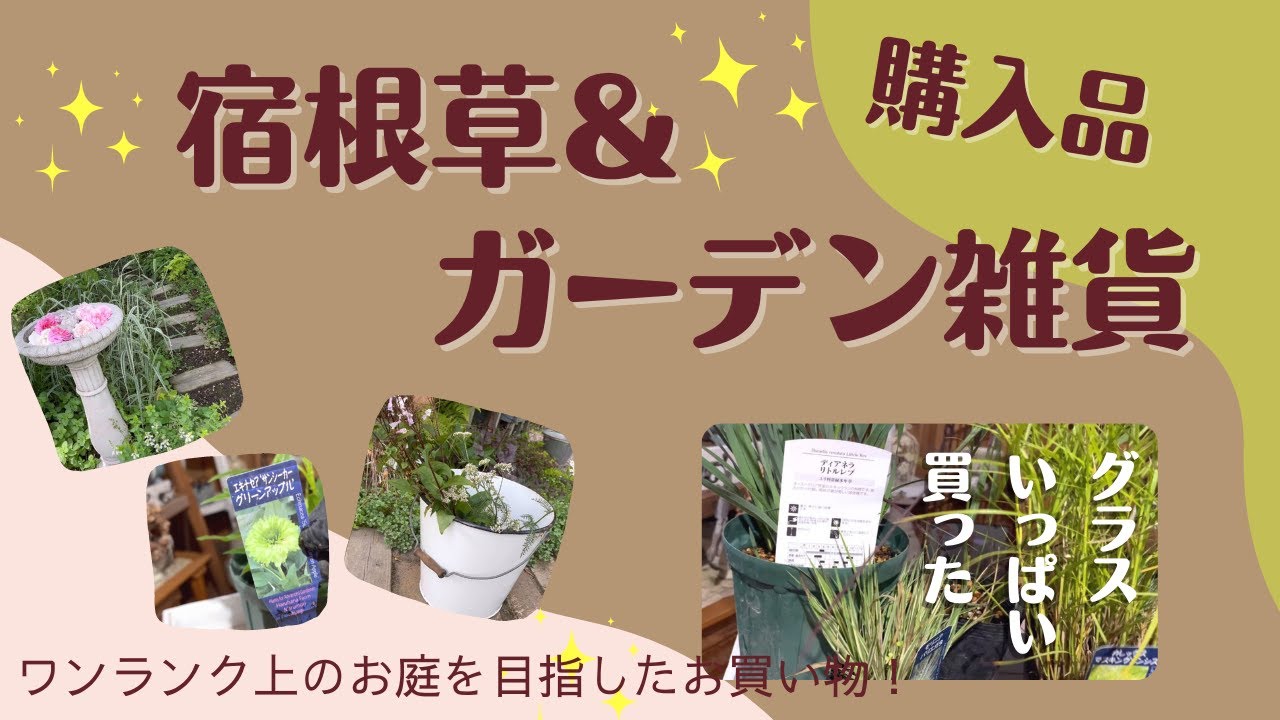 《梅雨は植え替えチャンス！》夏に～秋にオススメ宿根草／シェードガーデン向き／日向向き／大人の庭を目指して！ガーデン雑貨