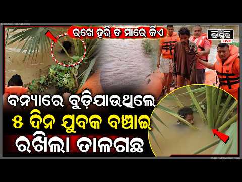 ବନ୍ୟାପାଣିରେ ଭୟଙ୍କର ଦୃଶ୍ୟ, ଯୁବକକୁ ବଞ୍ଚାଇଲା ତାଳଗଛ... ୫ଦିନ ସାହାରା ପାଲଟିଲା ତାଳଗଛ...