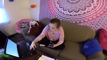 COMM 1000 Brevity Project