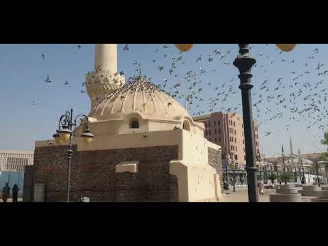 خذوني الى ارض المدينة انني جعلت اليها غدوتي ورواحي المدينة المنورة