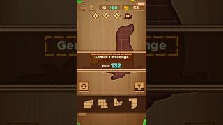 Wood Block - Block Puzzle Jigsaw ||Android Game || VN Gaming screenshot 5