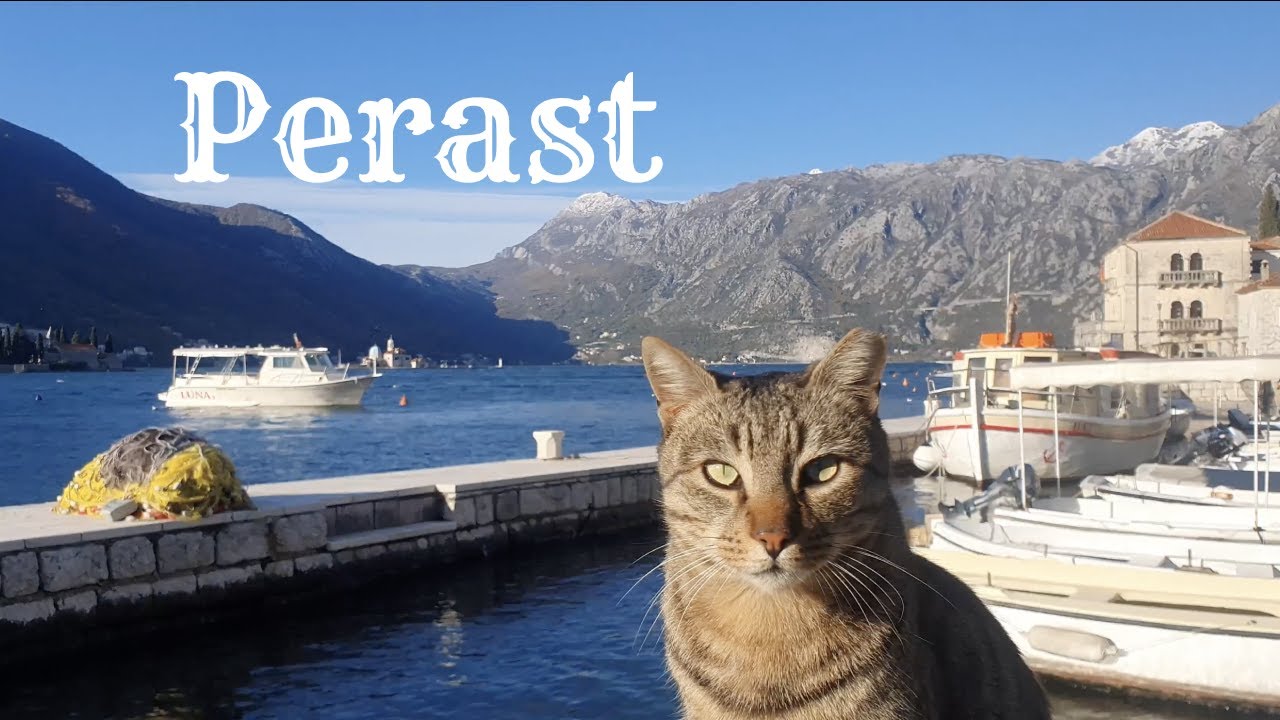The tiny town of Perast Montenegro [4K]
