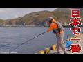 女が日本一臭いあの食べ物になる魚を釣りまくって食べまくった結果…│釣り│fishing│catchandcook│fishingwoman│fishingvideo