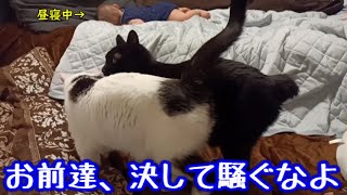 音を立てず、静かに…!頼むから起こさないでくれ…!