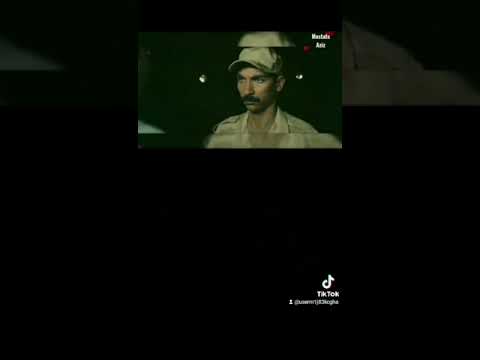 بيقولو لي انت الكبير