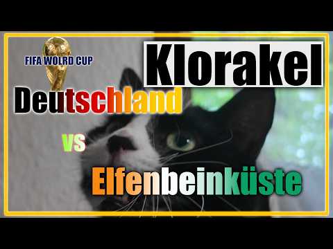Charlie das Klorakel - Tipp DEUTSCHLAND vs. Elfenbeinküste - WM 2026