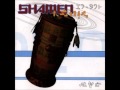 The Shamen Different Drum full album