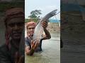 "শামুক খেকো ব্লাটকার্প মাছ চাষে খরচ কম"!#foryou #viral #shorts #fish #fishing #fishfarming#bigfish