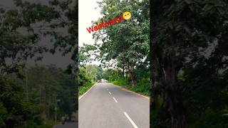 beautiful Jungle mark #sortvideo #roadtrips #viral