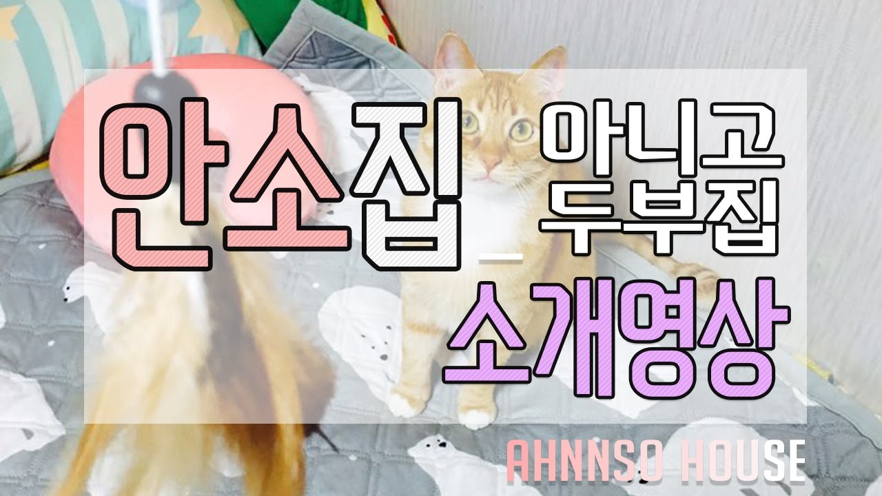 안소] 이사한집 드디어 공개합니다*[AHNNSO HOUSE]