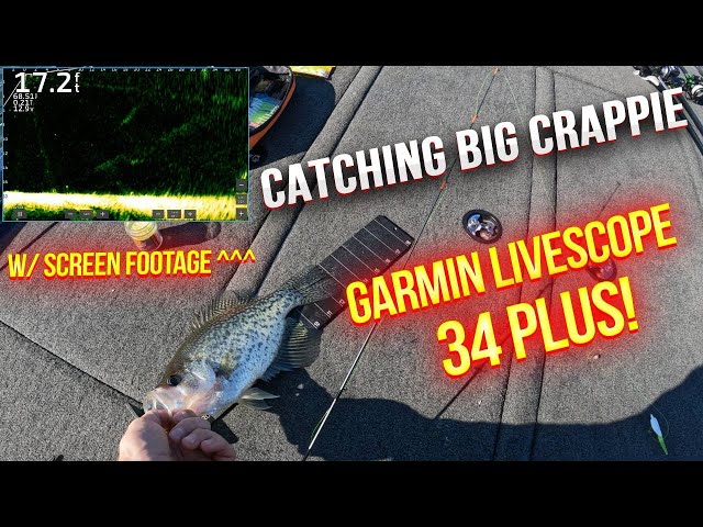 CRAPPIE fishing with the GARMIN LIVESCOPE LVS34 plus! (with screen