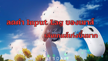 ลดค่า Input Lag ของเมาส์
