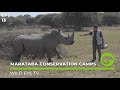 Wild Eye TV - Episode #13 - Marataba Conservation Camps