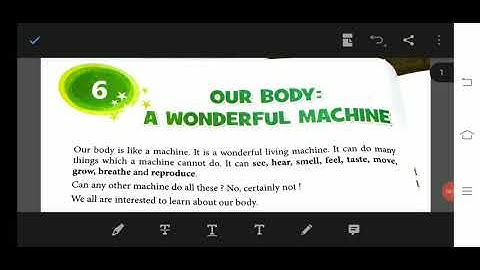 class 3 science revision from chapter 6 our body a wonderful machine