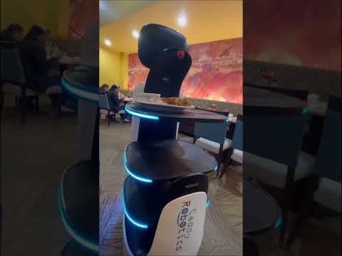 THE ROBOT SERVER#restaurant#dinner#hotel#adventure#robot#ai#shorts#short#trending#youtubeshorts#cool