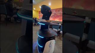 THE ROBOT SERVER#restaurant#dinner#hotel#adventure#robot#ai#shorts#short#trending#youtubeshorts#cool