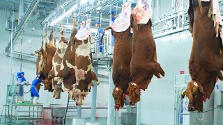 Incredibly Modern Beef Processing Plant Technology, Modern meat Cutting Machines &amp; Pork Processing