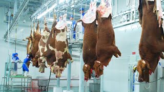 Incredibly Modern Beef Processing Plant Technology, Modern Meat Cutting Machines & Pork Processing