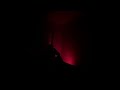 8. Sizzy - VAGABUNDO DESAPEGADO (ft. Ichirozin)