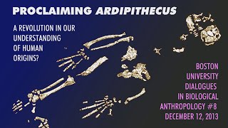 Boston University Dialogues in Biological Anthropology: Proclaiming Ardipithecus— Part 1
