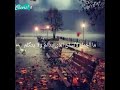 ما اجمل القلب الحساس