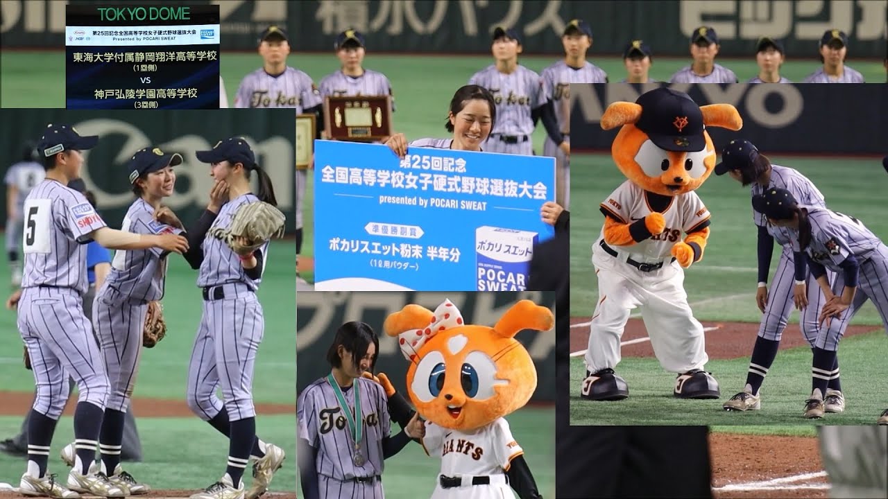 東海大学翔洋野球部　Vジャン 東海大翔洋野球部チームジャージ