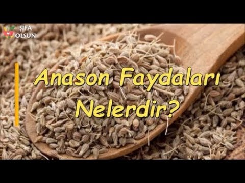 Anason Faydaları Nelerdir