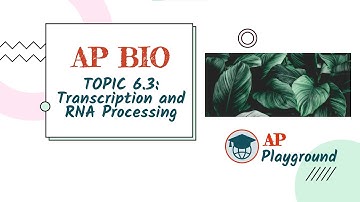 AP Biology 6.3: Transcription and RNA Processing | AP Playground
