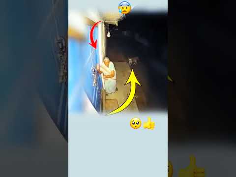 لولا لطف الله لافترسها     