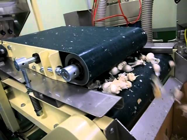 にんにく玉ほぐし機械