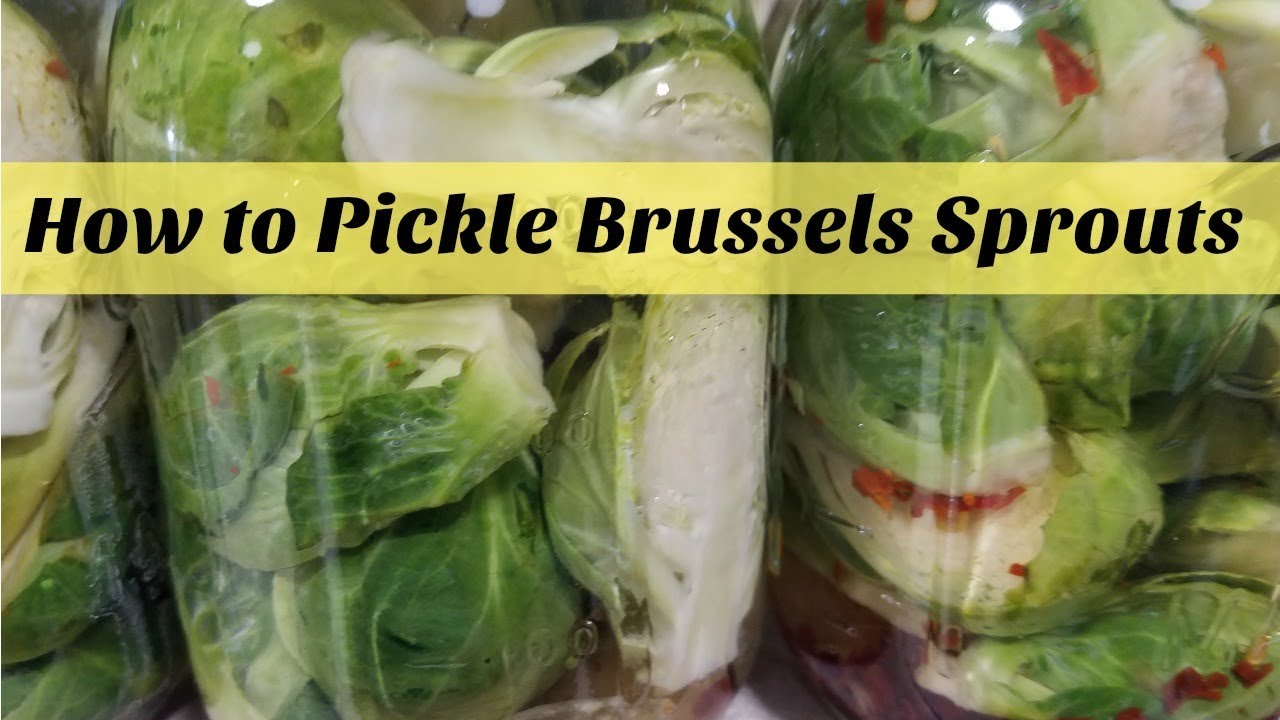 How to Pickle Brussels Sprouts ~SuttonsDaze