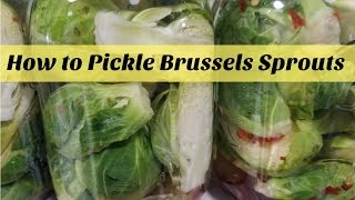 How to Pickle Brussels Sprouts ~SuttonsDaze