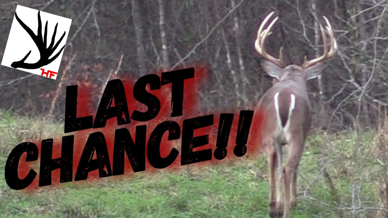 last-chance-2022-whitetail-deer-hunt-raffle-youtube
