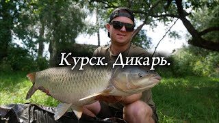 видео: Карпфишинг на диком водоеме Курской области. Валера дал жару. картинка: Карпфишинг на диком водоеме Курской области. Валера дал жару.