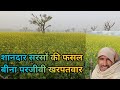 शानदार सरसों की फसल सर्दी में लहलाती हुई sarso ki kheti kab aur kaise karna hai sarson variety