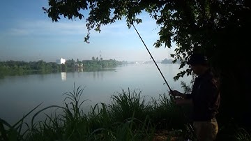 TEST BÃI CÂU MIẾU ÔNG CÙ BÌNH DƯƠNG : CÁ "NGÀN ĐÔ",CÁ TRẮM,CÁ CHÉP,CÁ TRÔI,MÈ,LĂNG ...ĐỦ CÁC LOẠI.