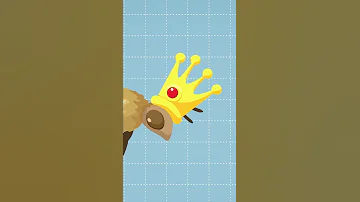 Может ли ужалить пчелиная матка? 🐝