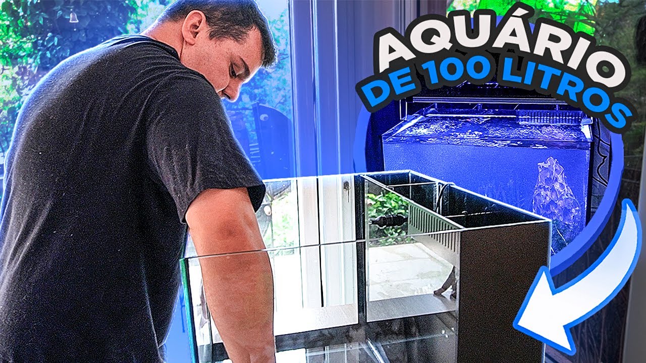 MONTEI UM AQUÁRIO MUITO LOUCO (100 LITROS DE ÁGUA DOCE)