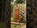 One Man Builds a Luxury Home Inside a Giant Pineapple | Epic Transformation