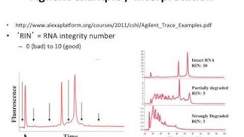 RNA-seq Analysis