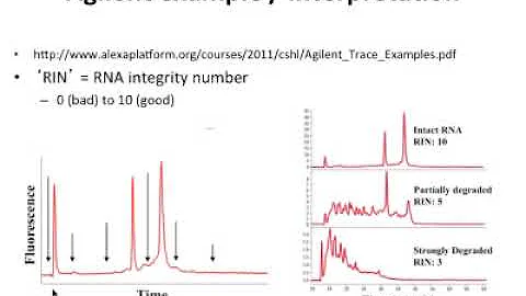 RNA-seq Analysis