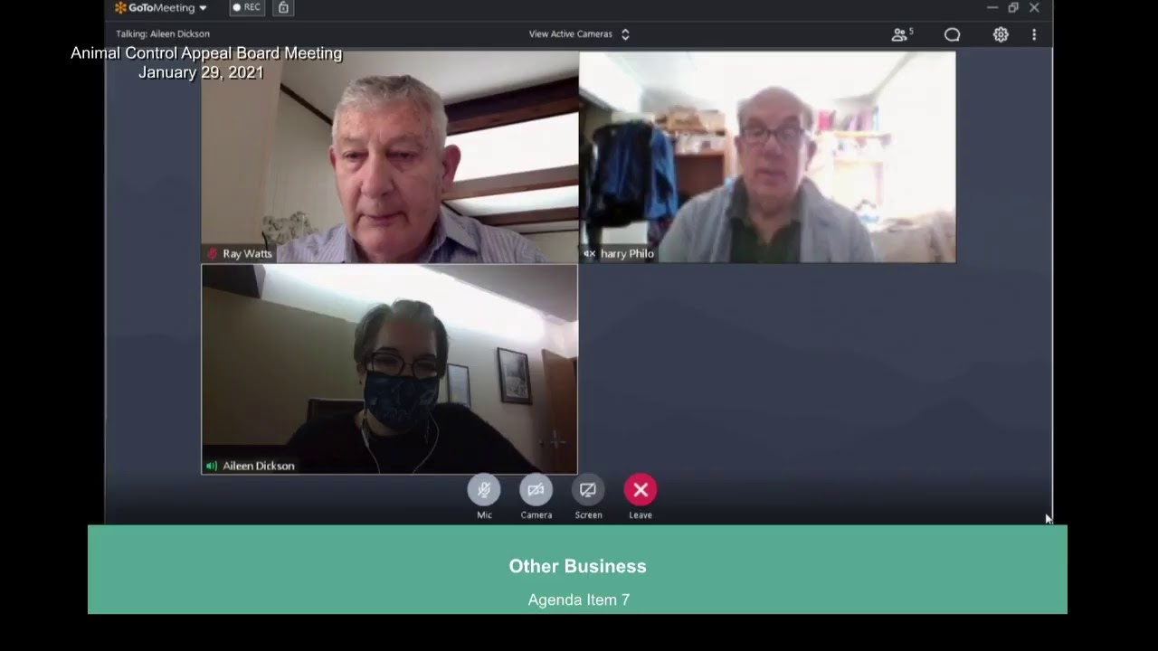 Election Coordinating Committee Meeting January 29, 2021