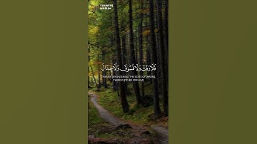 الحج أشهر معلومات | القارئ فهد البواردي من سورة البقرة