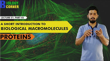 02 Basic Bioinformatics: A Short Introduction to Macromolecules | Part 2