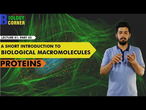 02 Basic Bioinformatics: A Short Introduction to Macromolecules | Part 2