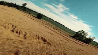 Field Overfly July 2022