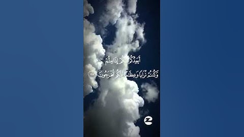 قران #المصحف #راحة_نفسية #راحه_نفسيه #المصحف #التلاوة_الحسنة #قران_كريم #قرآن #مصحف_التجويد #