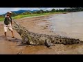 6 CROCODILOS GIGANTES CAPTURADOS POR CÂMERAS