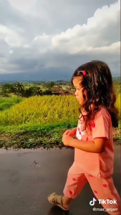 Seindah ini kampungku #storywa30detik #storywa #story #storywakekinian #kampunghalaman