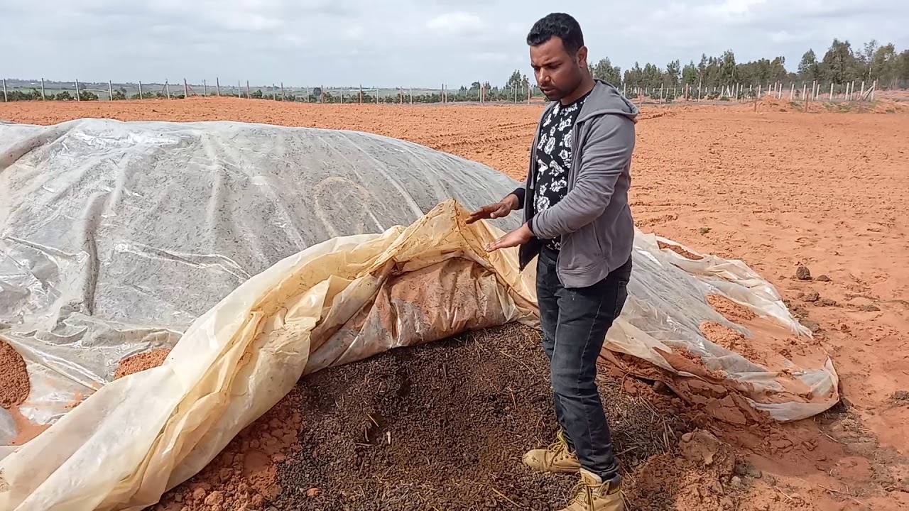 أسرع طريقة لتحلل السماد الطبيعي..